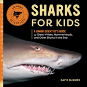 Buy Sharks for Kids