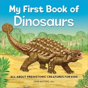 Buy My First Book of Dinosaurs