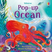 Buy Pop-up Ocean