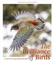 Buy Brilliance of Birds