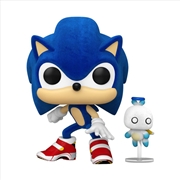 Buy Sonic the Hedgehog - Sonic with Hero Chau FL US Exclusive Pop! Vinyl [RS]