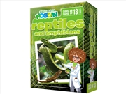 Buy Prof. Noggin's Reptiles And Amphibians