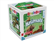 Buy Brainbox Animals