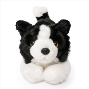 Buy Living Nature Border Collie Playful Pup