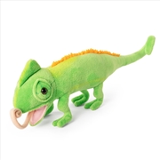 Buy Living Nature Chameleon