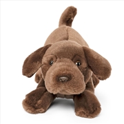 Buy Living Nature Chocolate Lab Playful Pup