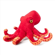 Buy Living Nature Common Octopus