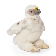 Buy Living Nature Eagle Chick 

