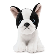 Buy Living Nature French Bulldog Puppy Black and White