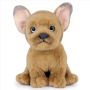 Buy Living Nature French Bulldog Puppy Sand