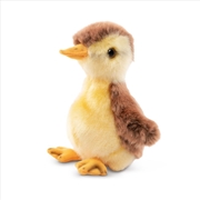 Buy Living Nature Mallard Duckling