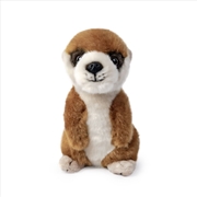 Buy Living Nature Meerkat Pup