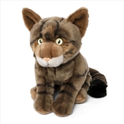 Buy Living Nature Scottish Wildcat