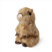 Buy Living Nature Sitting Capybara Pup