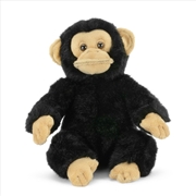 Buy Living Nature Small Chimp