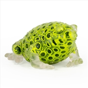 Buy Beadz Alive Frog