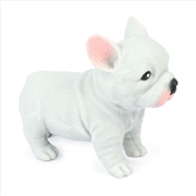 Buy Cute Squidgy French Bulldog