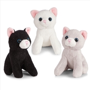 Buy Kitten Mini Buddies