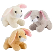 Buy Rabbit Mini Buddies