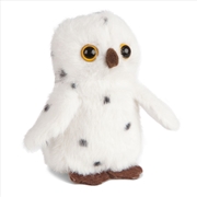 Buy Snowy Owl Mini Buddies