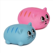 Buy Squidgy Cats (SENT AT RANDOM)