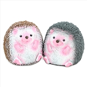 Buy Squidgy Hedgehog (SENT AT RANDOM)