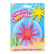 Buy Sticky Tumbling Starfish