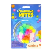 Buy Sticky Window Crawling Mites