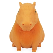 Buy Stretch 'N Smash Capybara