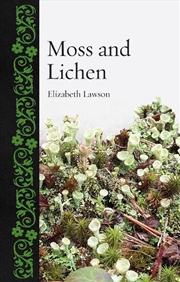 Buy Moss And Lichen