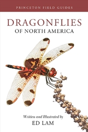 Buy Dragonflies Of North America