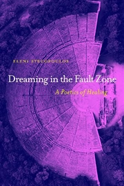 Buy Dreaming In The Fault Zone: A