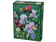 Buy Spring Glory 1000Pc