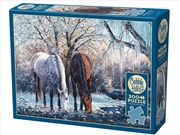 Buy Winters Beauty 500Pc