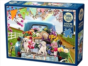 Buy Country Truck In Spring 500Pc