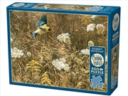 Buy Queen Anne's Lace & Goldfinch