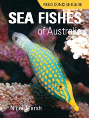 Buy Reed Concise Guide Sea Fishes of Australia