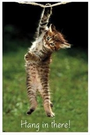 Buy Kitten - Hang in There - Reg Poster