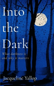 Buy Into the Dark - What darkness is and why it matters