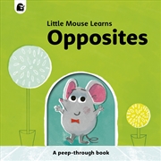 Buy Opposites (Little Mouse Learns)