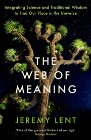 Buy The Web of Meaning