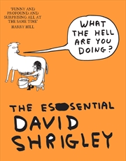 Buy What The Hell Are You Doing?: The Essential David Shrigley