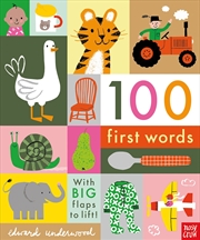 Buy 100 First Words