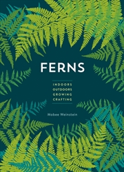 Buy Ferns (mini)