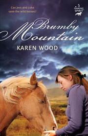 Buy Brumby Mountain (Diamond Spirit 5)