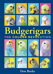 Buy Budgerigars The Colour Revolution