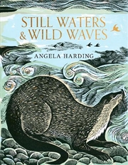 Buy Still Waters & Wild Waves