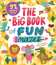 Buy The Big Book of Fun Mazes