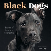 Buy Black Dogs