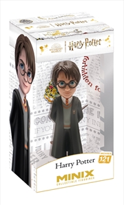 Buy Minix Harry Potter Harry Potter